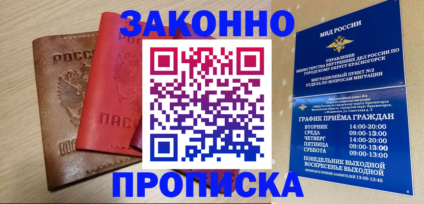 временная регистрация собственник в Челябинской области